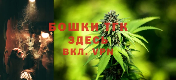 стаф Костерёво